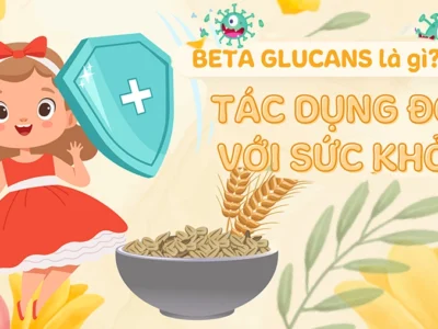 Beta Glucan là gì? Có tác dụng gì đối với sức khỏe? Cách dùng đúng